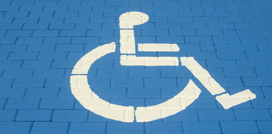 Curso UIPAN sobre Aspectos jurídicos en materia de discapacidad